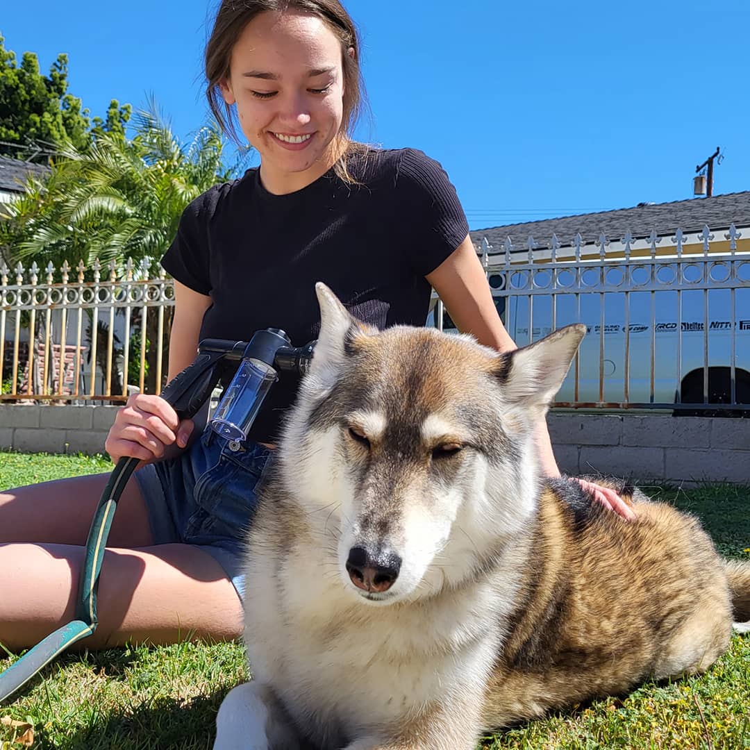 Dog shower spray - WashBuddy