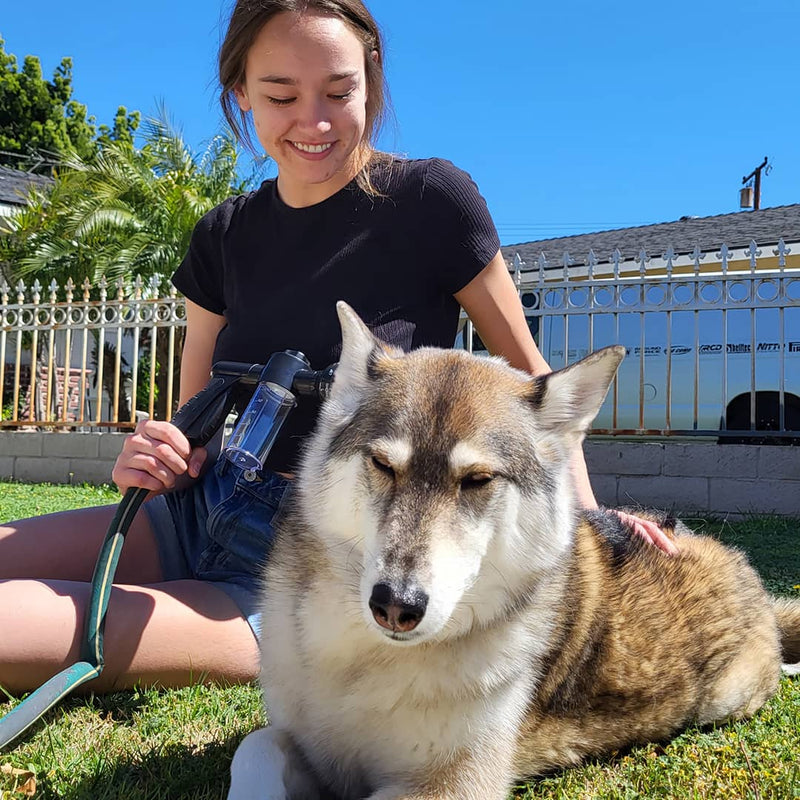 Dog shower spray - WashBuddy