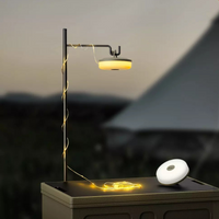 Rechargeable LED Mood Light – LunaGlow