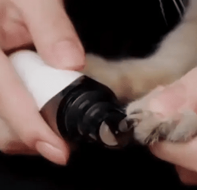 Electric Nail Helper for Dogs – PawTrim