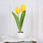Dekorative LED Tulpe Tischlampe – Florima