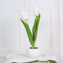Dekorative LED Tulpe Tischlampe – Florima