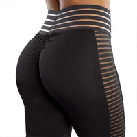 Seamless Fitness Leggings - Nova