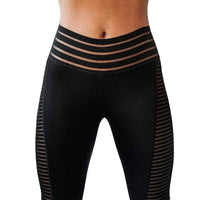 Seamless Fitness Leggings - Nova