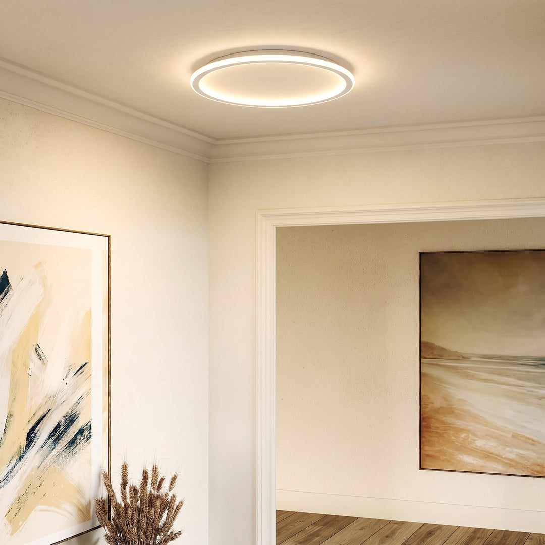 Flache Ringleuchte an der Decke eines Flurs mit Stuckleiste, Gemälden und getrockneten Gräsern im Vordergrund. 3