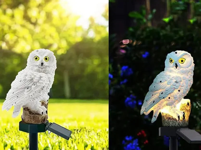 Zweigeteiltes Bild: links die Eule im Sonnenlicht auf einer Wiese, rechts nachts leuchtend vor blauen Blüten. 9