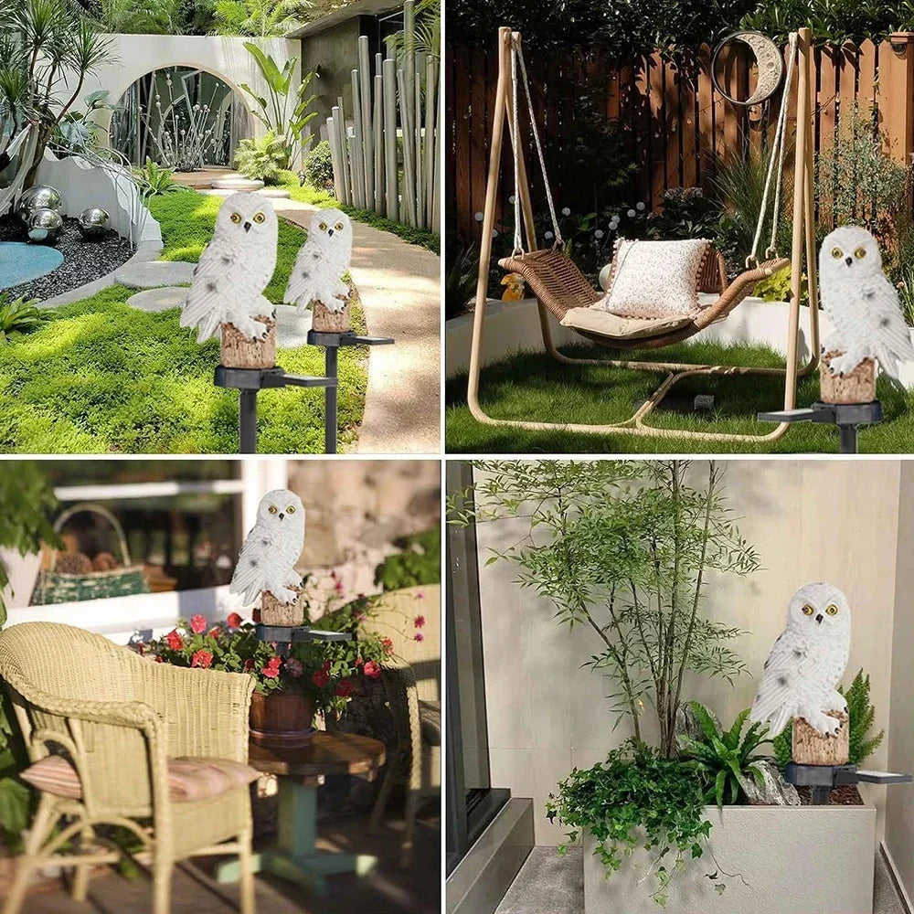 Vierer-Collage: weiße Eulen im Garten, neben einer Hängeschaukel, vor einem Korbstuhl mit Blumen und in einem Pflanzkübel. 13