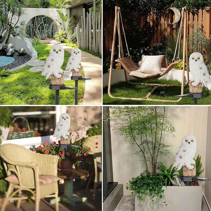 Vierer-Collage: weiße Eulen im Garten, neben einer Hängeschaukel, vor einem Korbstuhl mit Blumen und in einem Pflanzkübel. 13