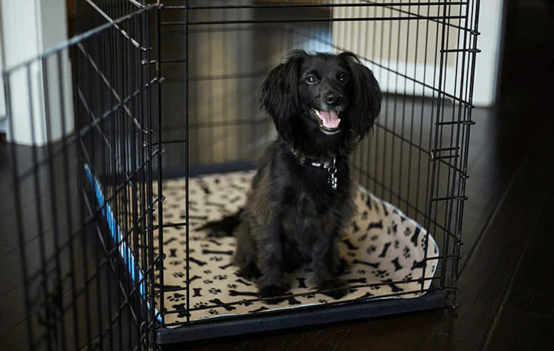 Reusable Mat for Dogs - EcoPad