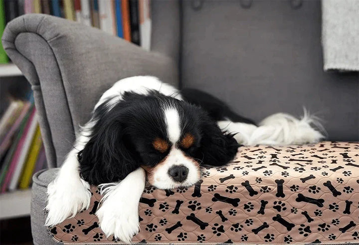 Reusable Mat for Dogs - EcoPad