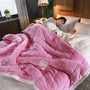 Warme Flanell-Korallfleece-Decke für Herbst & Winter – CosyBlanket