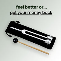 Sound Therapy Instrument – VibeTherapy
