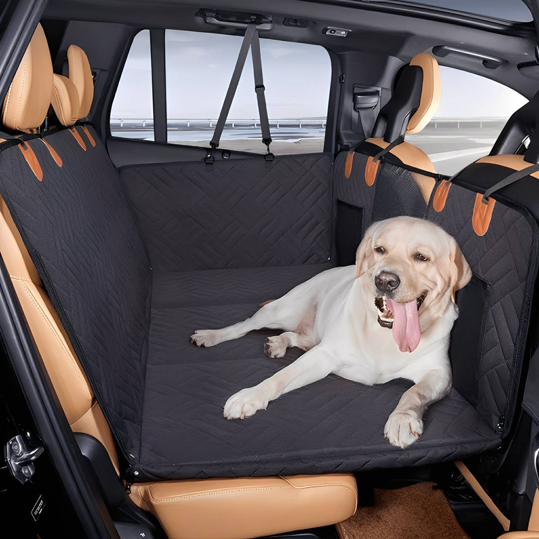 Heller Labrador liegt mit herausgestreckter Zunge auf der schwarzen, gesteppten Rücksitzverlängerung im Auto mit Seitenwänden und Gurten. 1