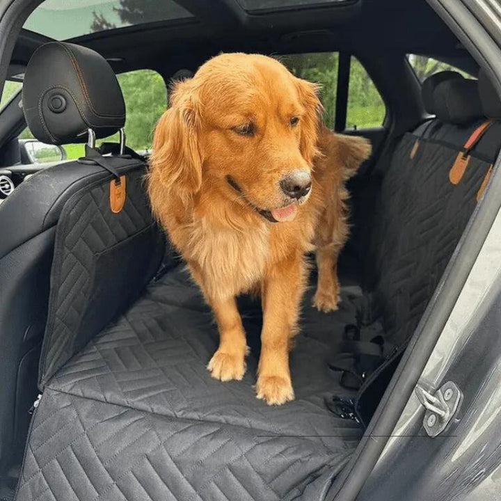 Golden Retriever steht auf dem schwarzen, gesteppten Boden der Rücksitzverlängerung, die an den Kopfstützen eines Autos befestigt ist. 5