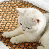 Kradsetræ til katte – PurrLuxe