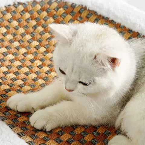 Kradsetræ til katte – PurrLuxe