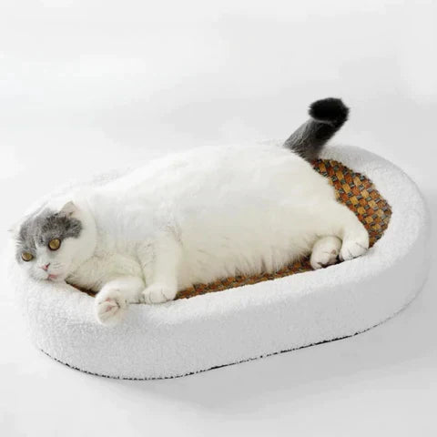 Kradsetræ til katte – PurrLuxe