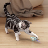 Det ultimate tyggeleketøyet for katter – WhiskerPlay