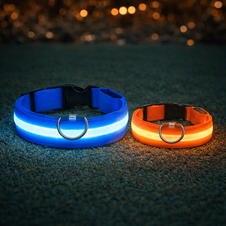 Ein größeres blaues und ein kleineres orangefarbenes Leuchthalsband nebeneinander auf dunklem Rasen, im Hintergrund warme Lichtpunkte. 6