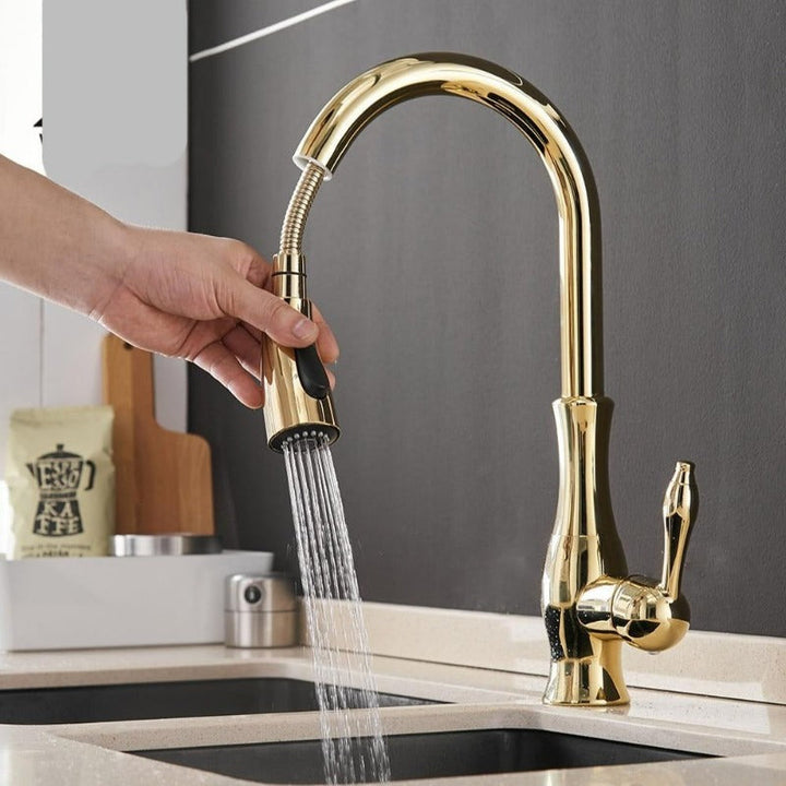 Pull-out kitchen faucet - FlexFlow