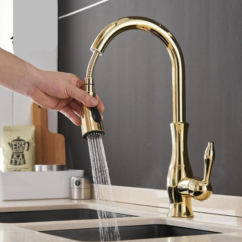 Pull-out kitchen faucet - FlexFlow
