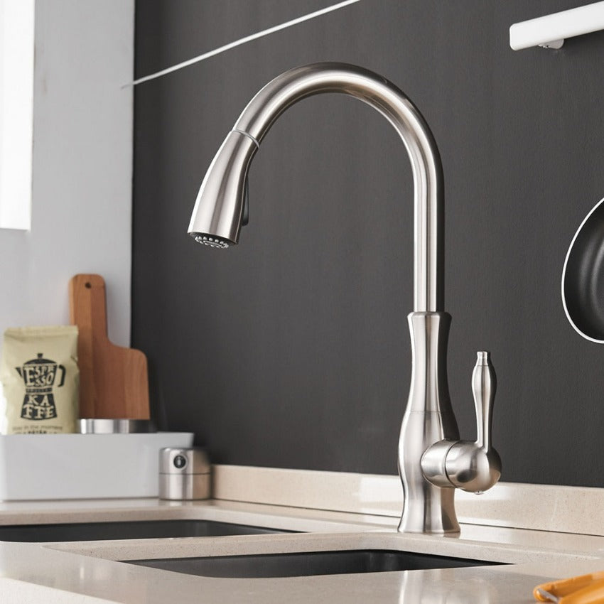 Pull-out kitchen faucet - FlexFlow