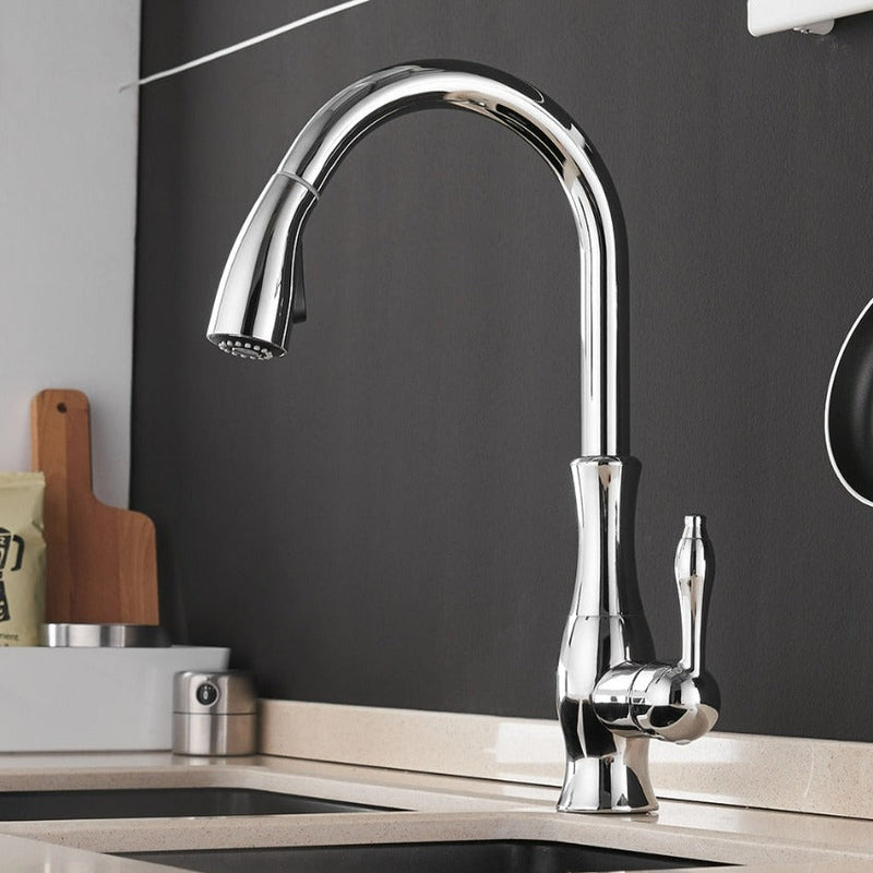 Pull-out kitchen faucet - FlexFlow