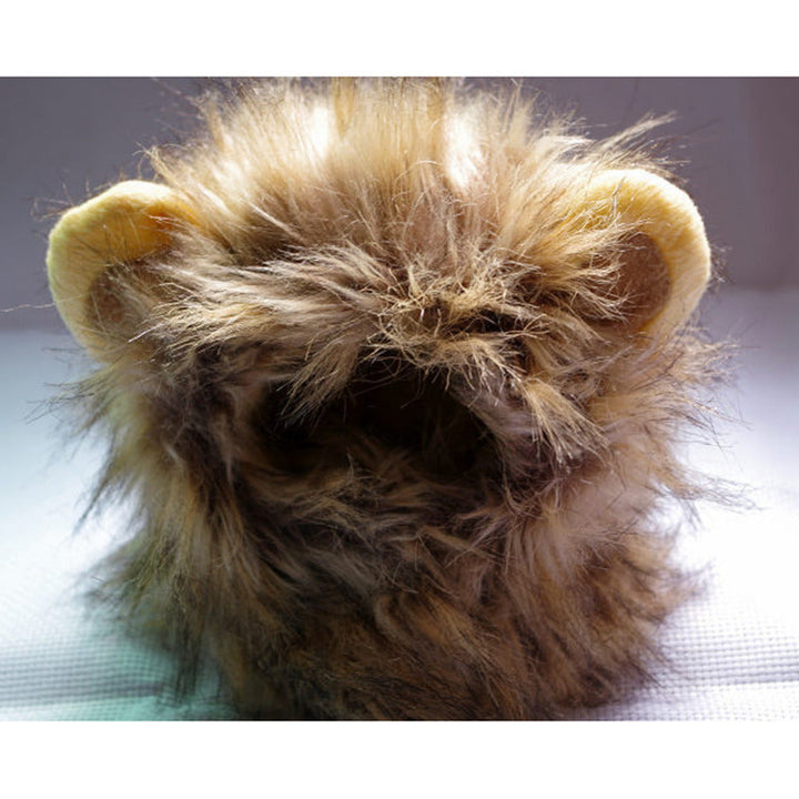 Løvemanke til din kat – LionPaws
