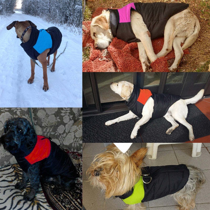 Varm og vandafvisende hundejakke - WarmPaws