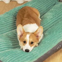 Orthopedic Dog Pillow with Removable Cover - SnuggleRest