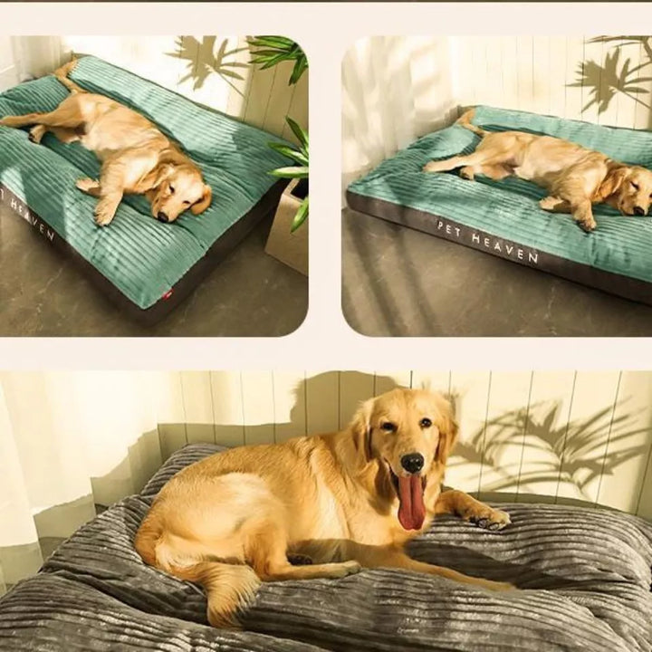 Orthopedic Dog Pillow with Removable Cover - SnuggleRest