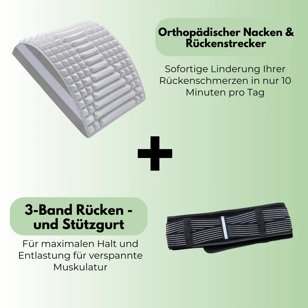 Back & Support Belt – TripleSupport