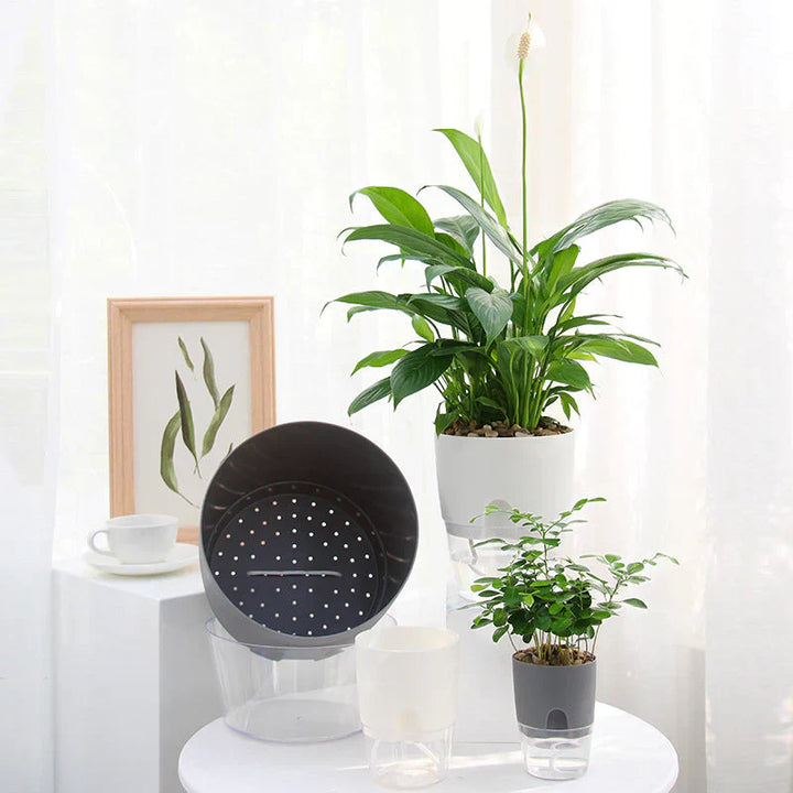 Selvvannende plantekasse – AquaBloom