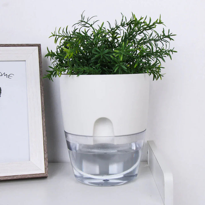 Selvvannende plantekasse – AquaBloom