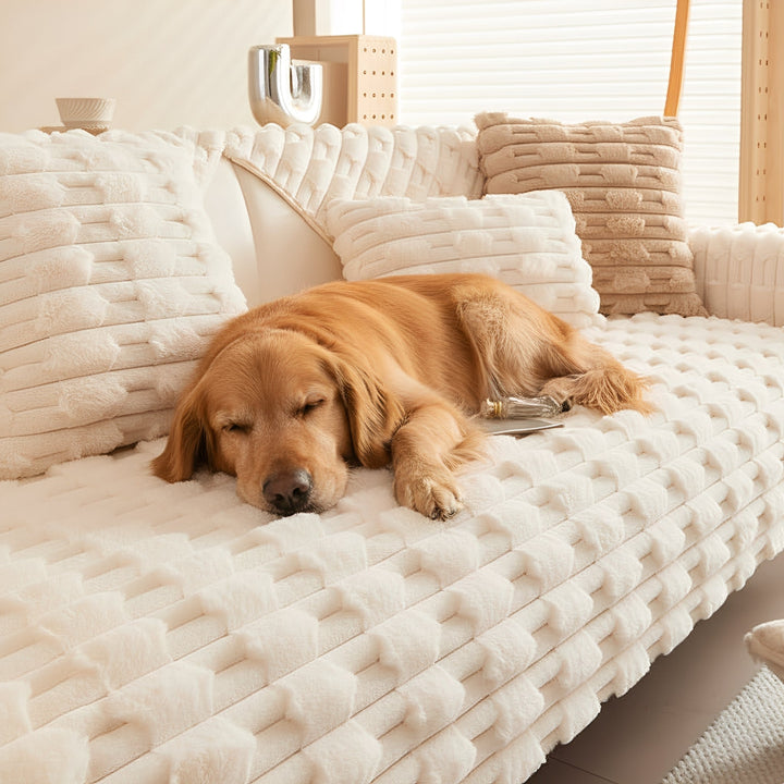 Ein goldfarbener Hund schlΓ€ft entspannt auf dem cremefarbenen, plΓΌschigen Sofaschoner mit Reliefmuster in einem hellen Wohnzimmer. 1