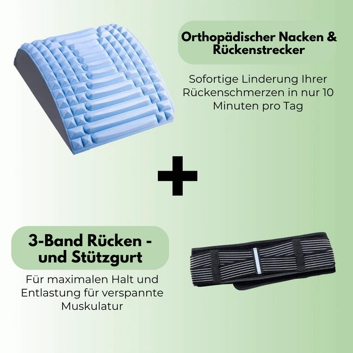 Back & Support Belt – TripleSupport