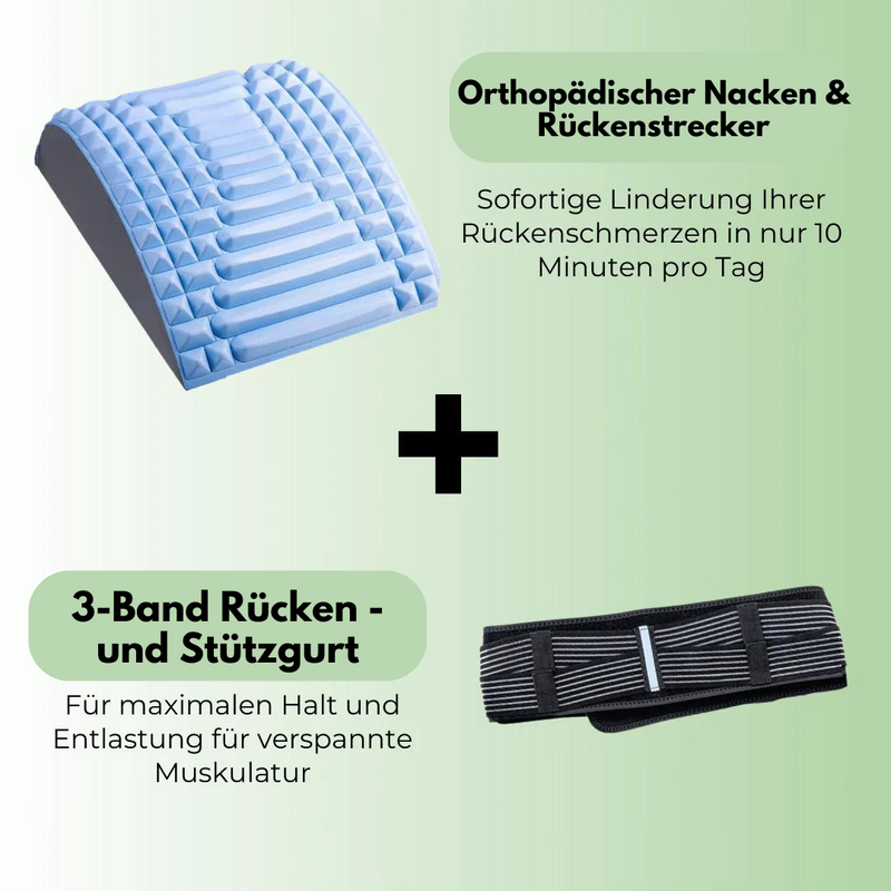 Back & Support Belt – TripleSupport