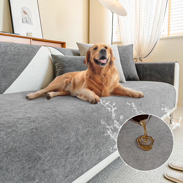 Golden Retriever liegt auf dem grauen Sofabezug im Wohnzimmer, Wasserspritzer und Detailkreis zeigen die abperlende Flüssigkeit. 9