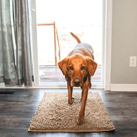 Super absobierende Hundematte – PawMat