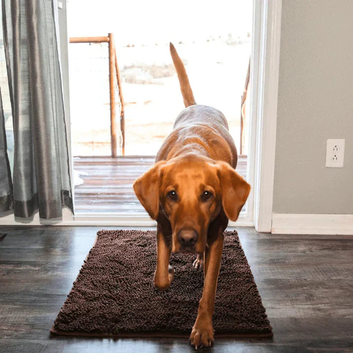 Super absobierende Hundematte – PawMat
