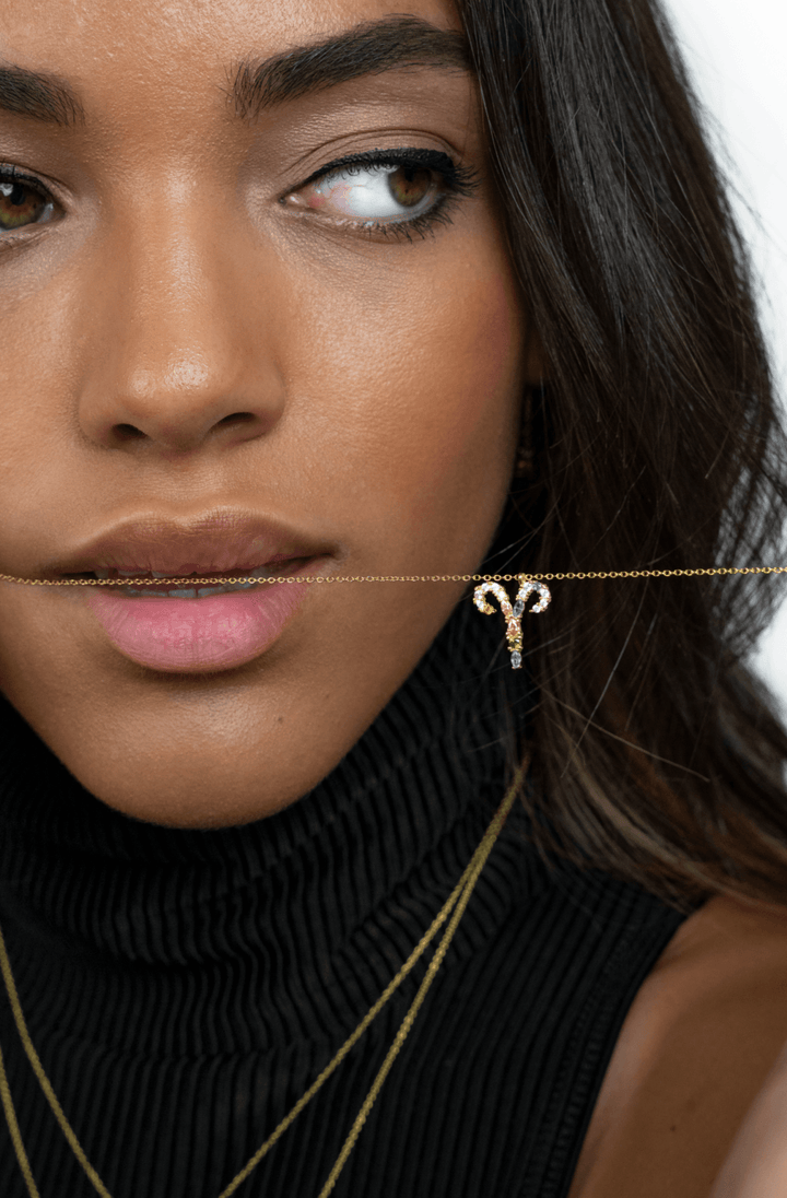 Stylish Zodiac Necklace – Celestia