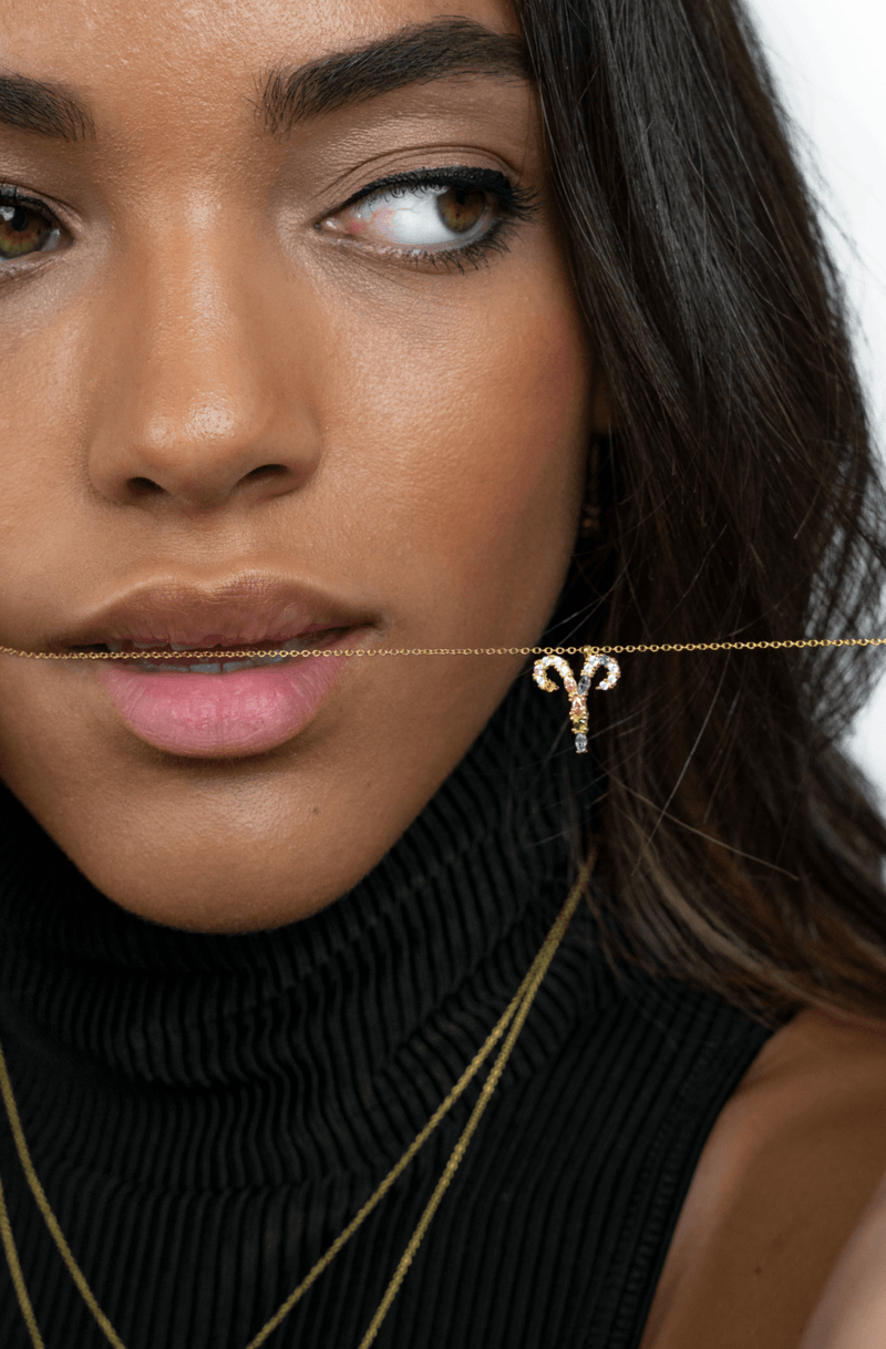 Stylish Zodiac Necklace – Celestia