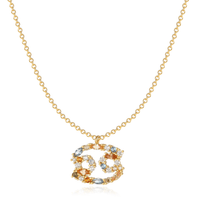 Stylish Zodiac Necklace – Celestia