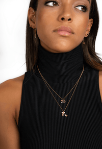 Stylish Zodiac Necklace – Celestia