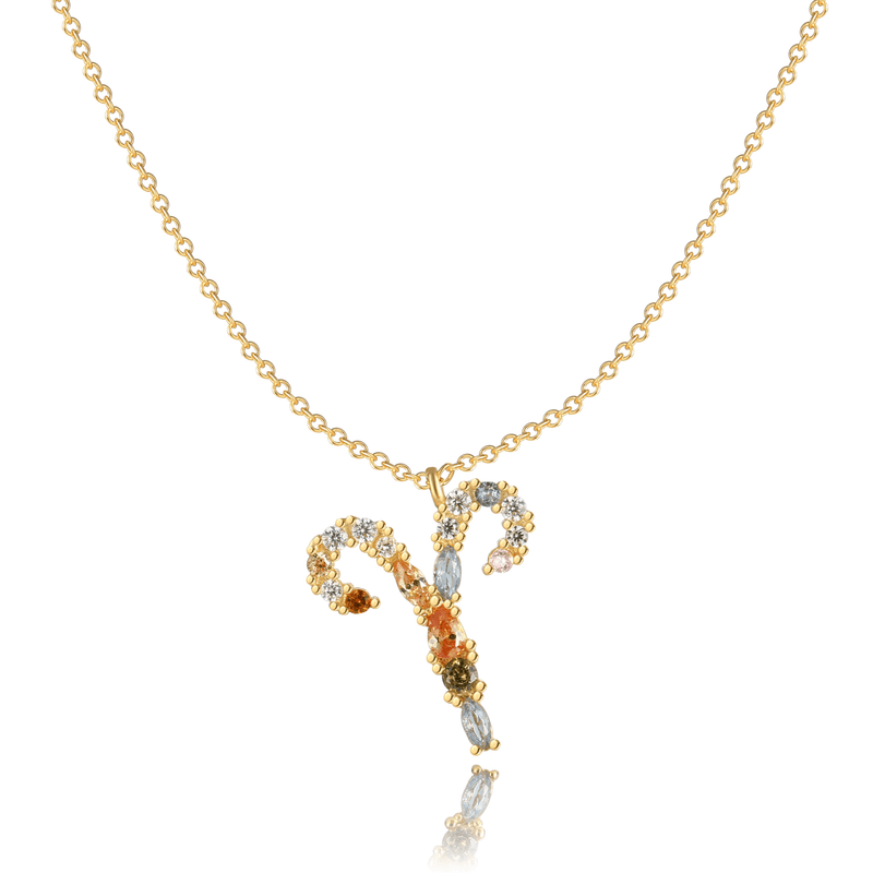 Stylish Zodiac Necklace – Celestia
