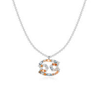 Stylish Zodiac Necklace – Celestia