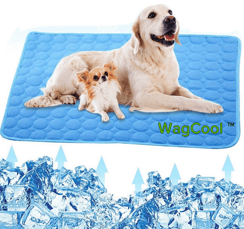 Alfombrilla refrescante para perros - Alfombrilla CoolPet