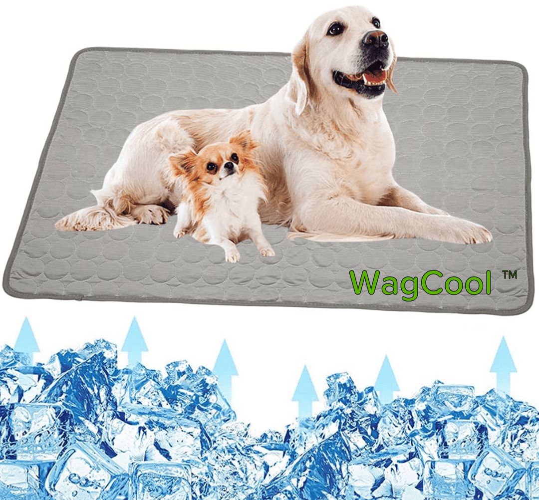 Alfombrilla refrescante para perros - Alfombrilla CoolPet