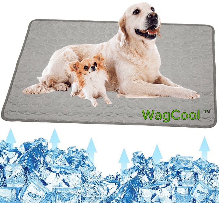 Alfombrilla refrescante para perros - Alfombrilla CoolPet