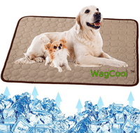 Alfombrilla refrescante para perros - Alfombrilla CoolPet